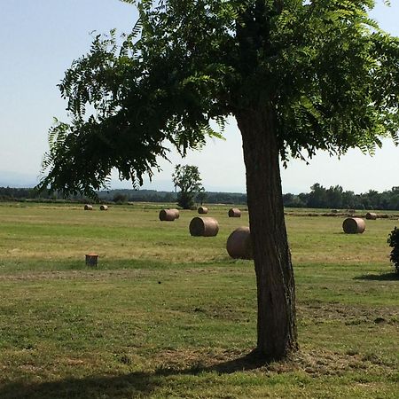 Location Gite 4 Personnes Mazeres - La Petite Maison Luaran gambar