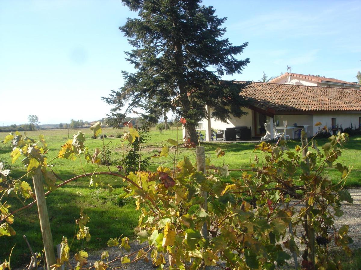 Location Gite 4 Personnes Mazeres - La Petite Maison Luaran gambar