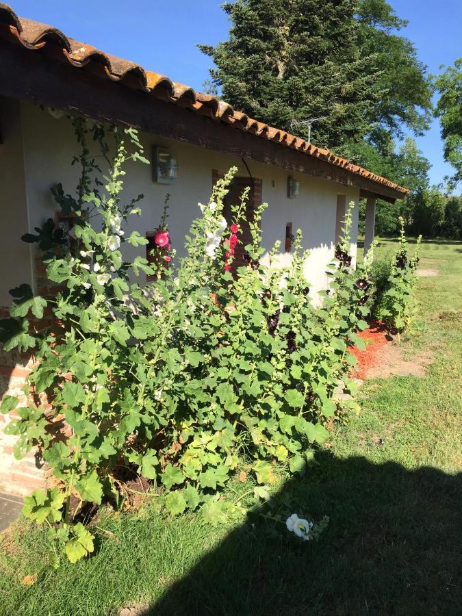 Location Gite 4 Personnes Mazeres - La Petite Maison Luaran gambar