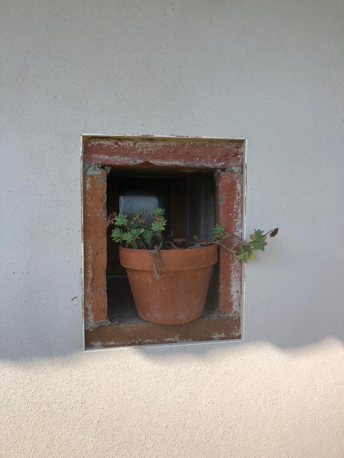 Location Gite 4 Personnes Mazeres - La Petite Maison Luaran gambar