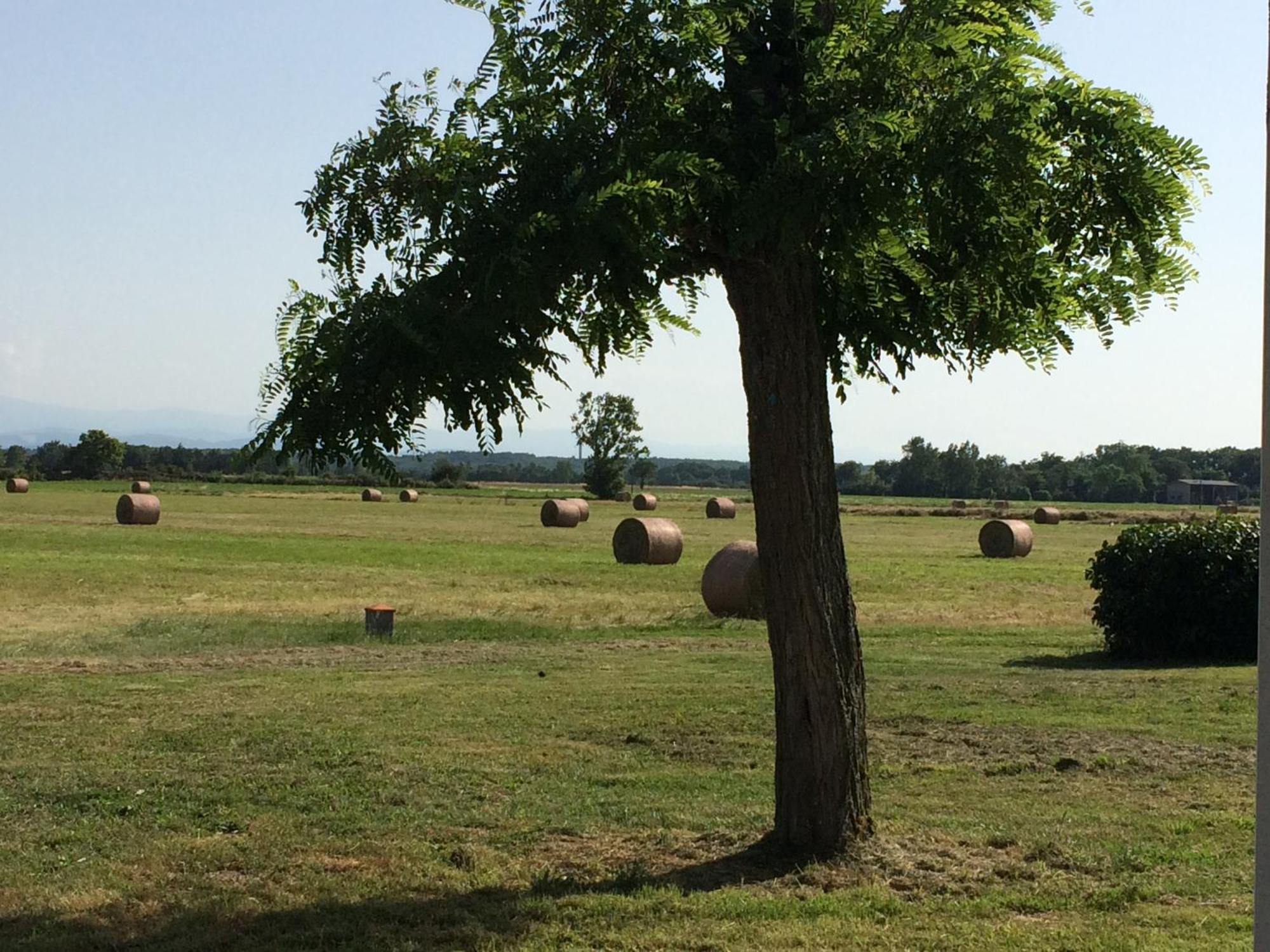 Location Gite 4 Personnes Mazeres - La Petite Maison Luaran gambar